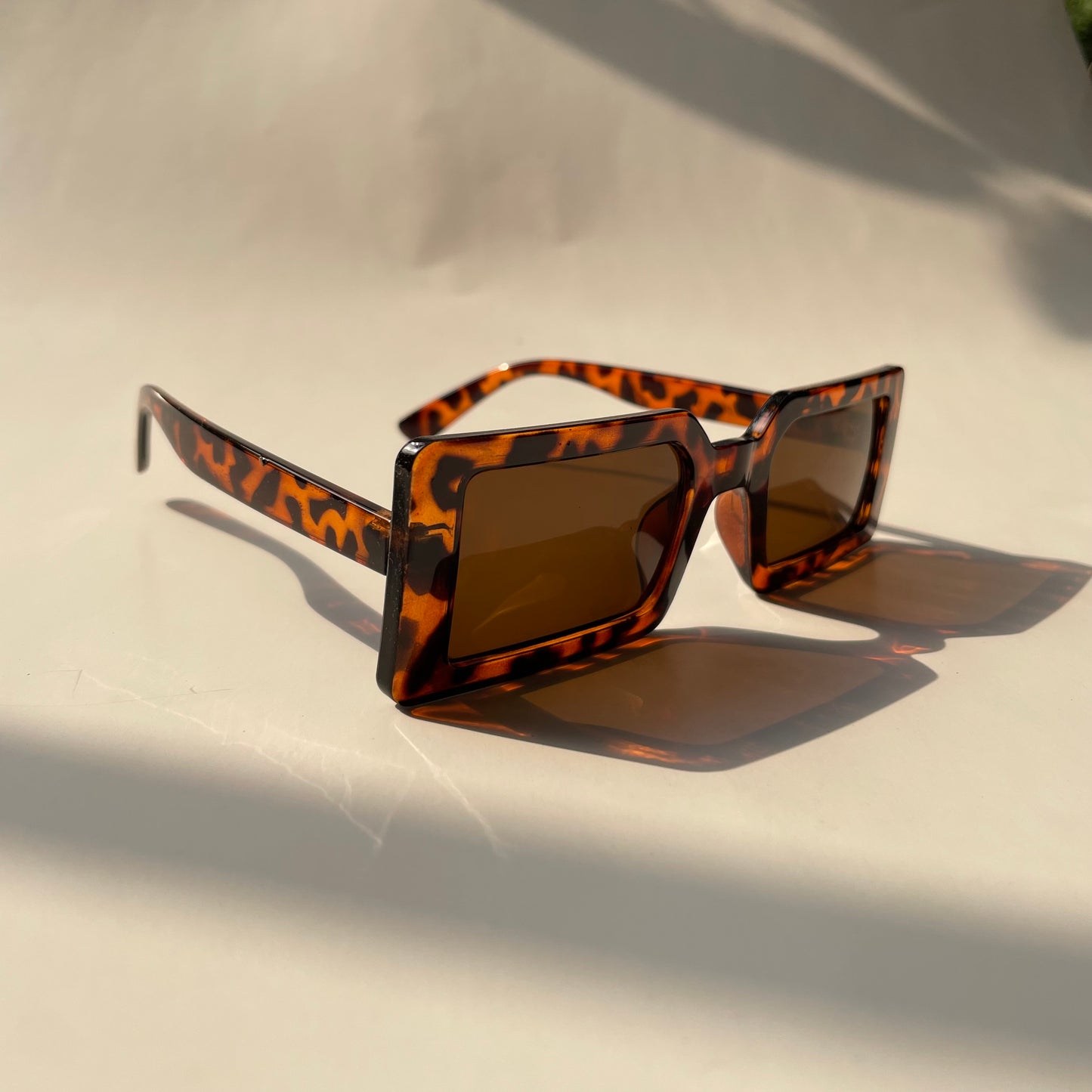 Elipsy Printed Sunglasses