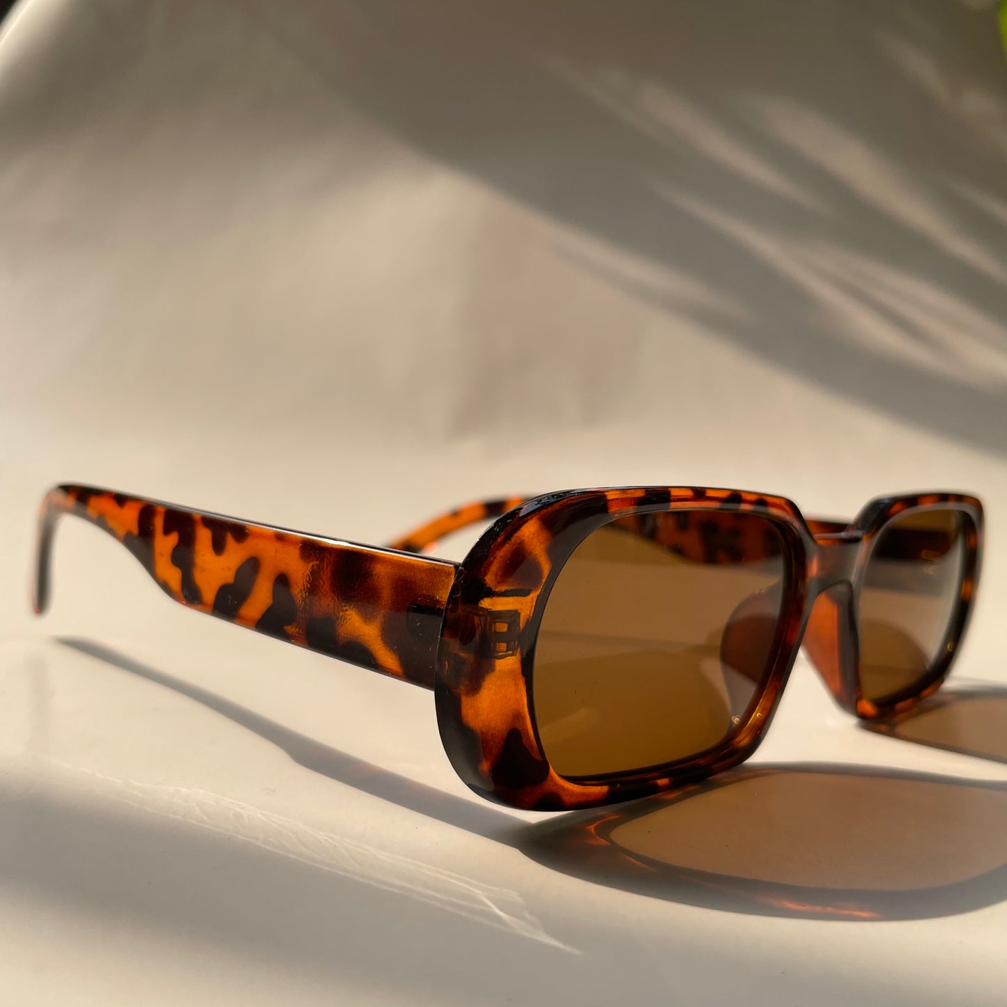 Elipsy Round Printed Sunglasses